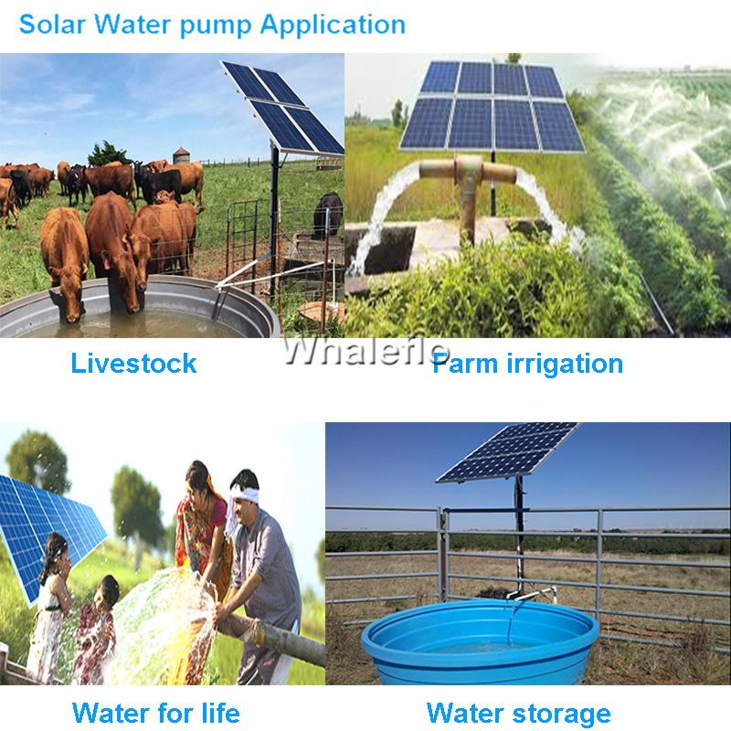 Whaleflo solar pump Whaleflo solar pump
