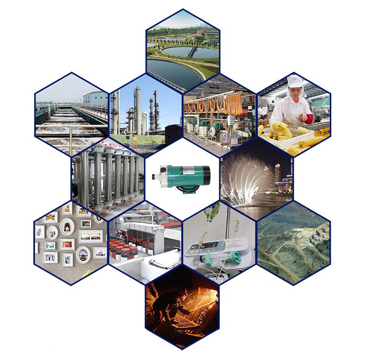 Whaleflo mag drive chemical pump application Whaleflo mag drive chemical pump application