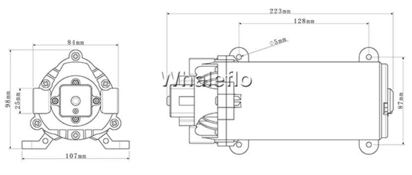 Whaleflo High pressure Pump