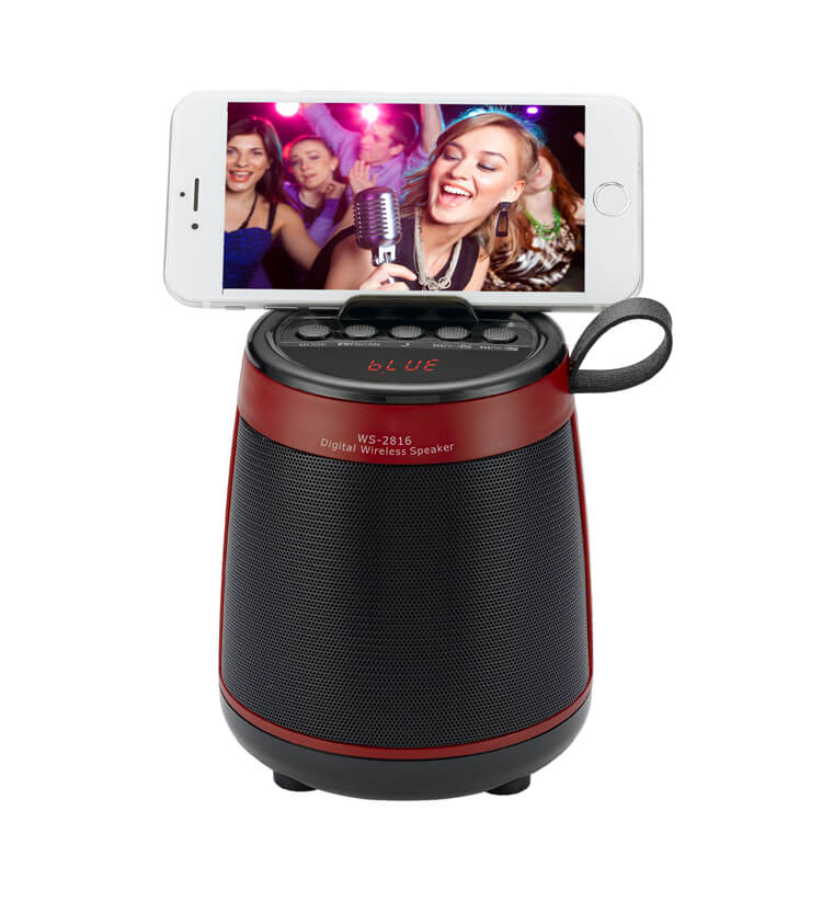 Digital Wireless Speaker