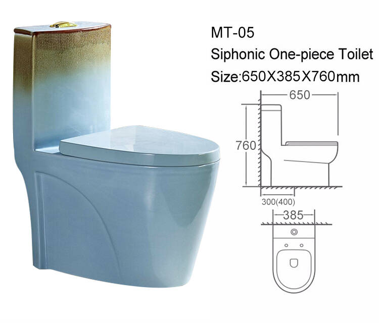 Modern Design Toilet