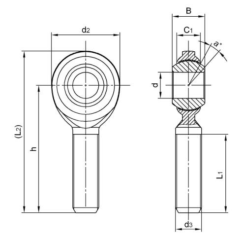 CM10T Inch FISH EYE BEARING AMERICAN SIZE