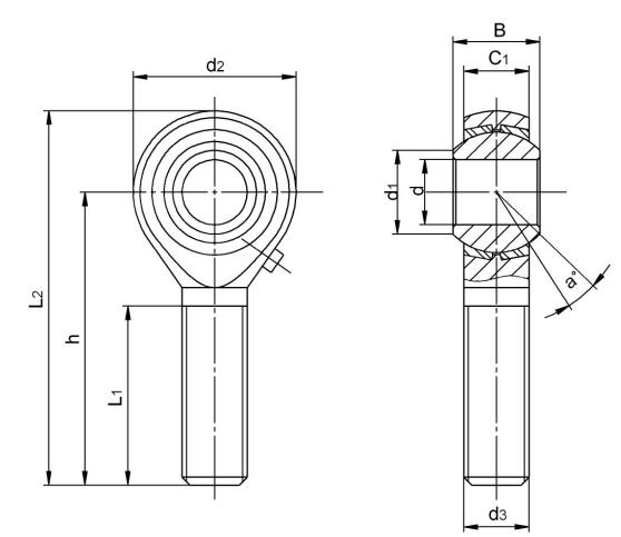 Inch FISH EYE BEARING POSB10L