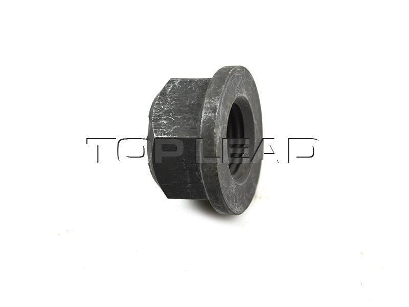 Hexagon nut SINO TRUCK PARTS Hexagon nut SINO TRUCK PARTS