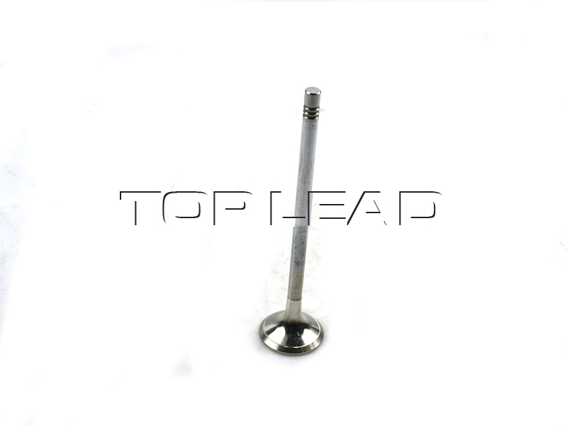 SINOTRUK HOWO exhaust valve VG1246050022 SINOTRUK HOWO exhaust valve VG1246050022