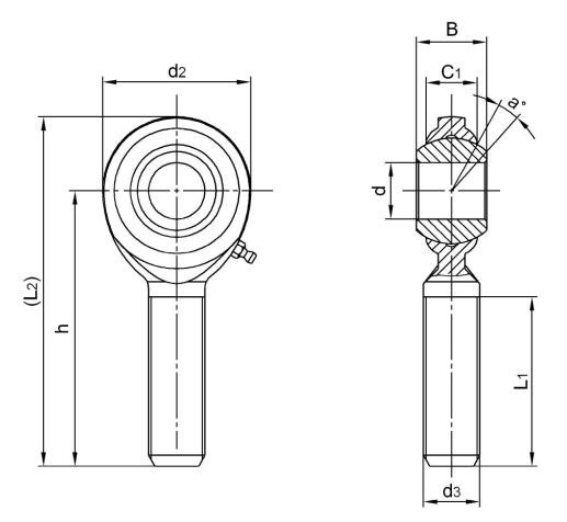 CM5Z Inch FISH EYE BEARING