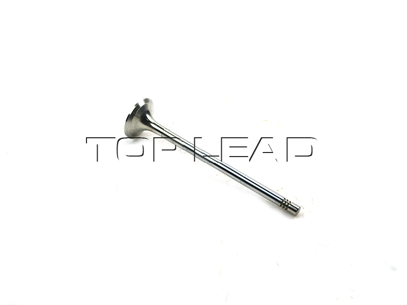 exhaust valve VG1246050022 exhaust valve VG1246050022