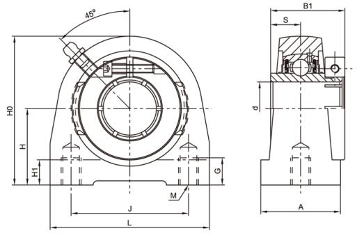 Stainless Steel Pillow Block SSUEPA205-14