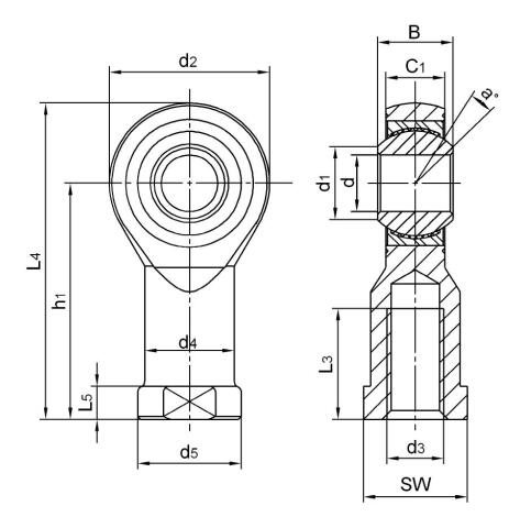 SCHS25 Stainless Steel Rod Eye