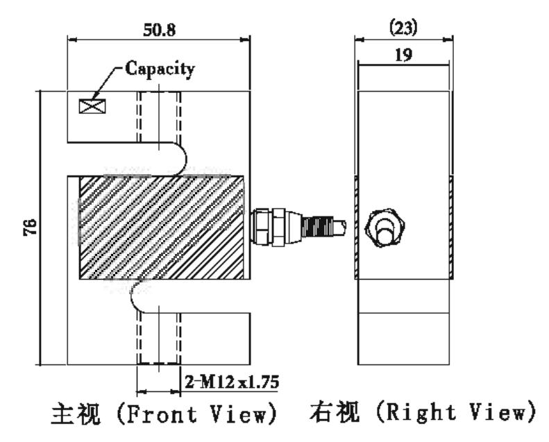 S type NS1 S type NS1