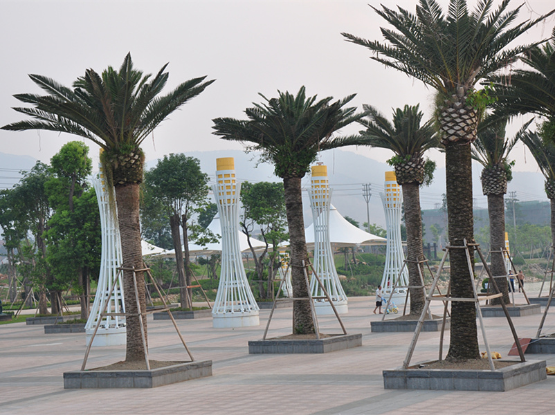 Tension Shade Structure