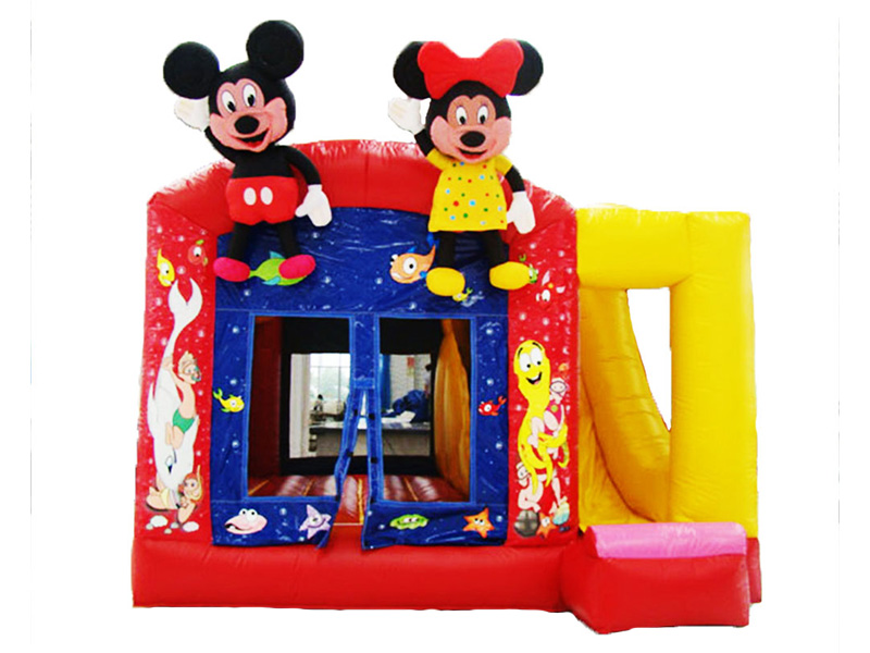 inflatable bouncy castle and slide