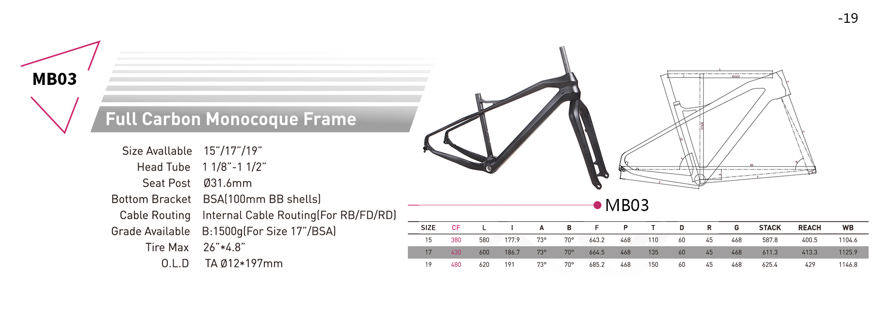 fat bike frame