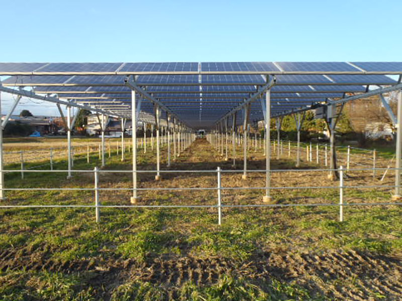 solar panels on farmland