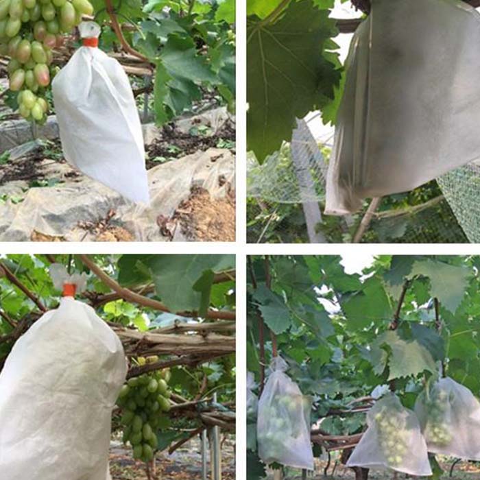 Drawstring grape protection bag