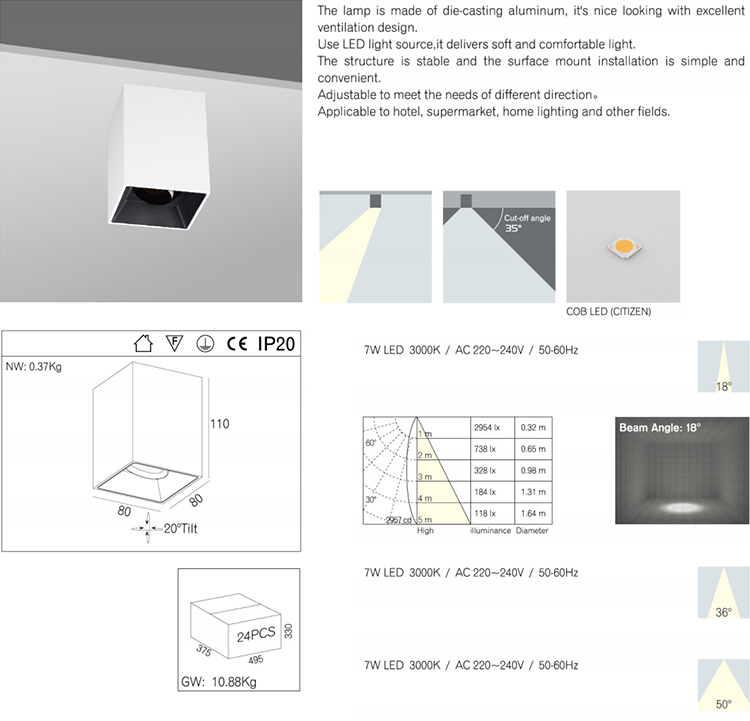 Modern Indoor LED Ceiling Light