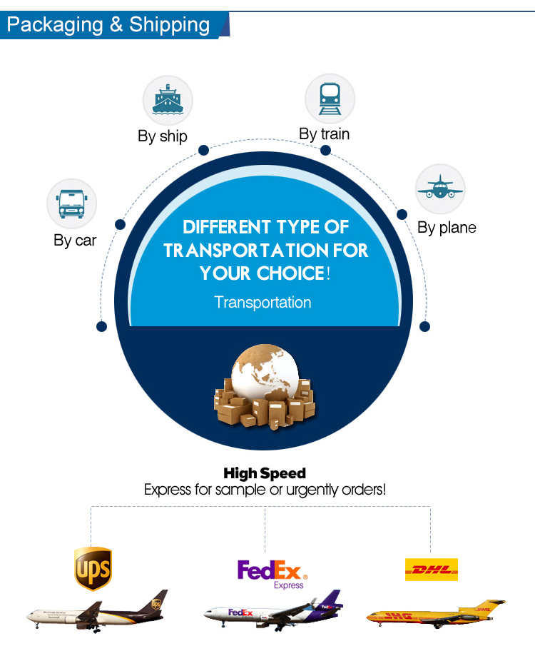 sea freight ship