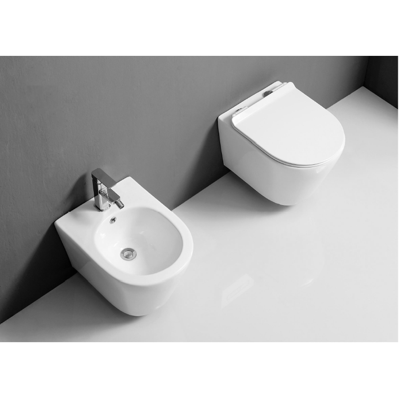 wall_mounted_white_ceramic_toilet_Wand-Hänge_WC_set_Hangtoilet-set_NEUNAS_T312set