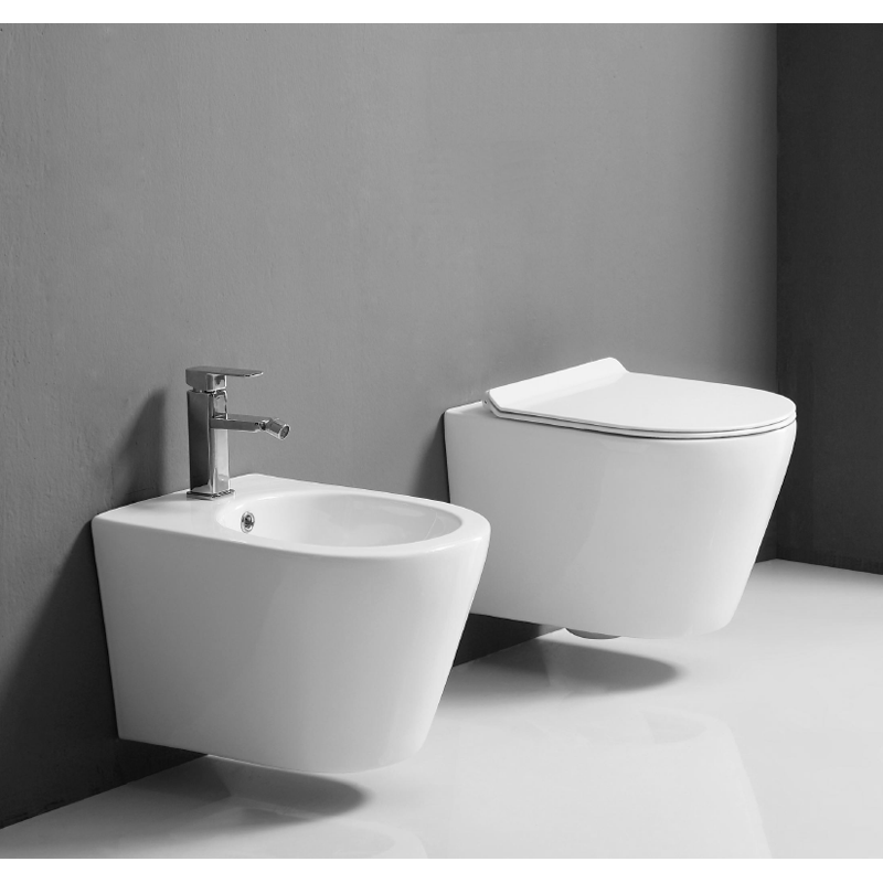 quality_wall_mounted_white_ceramic_toilet_Wand-Hänge_WC_set_Hangtoilet-set_NEUNAS_T312set