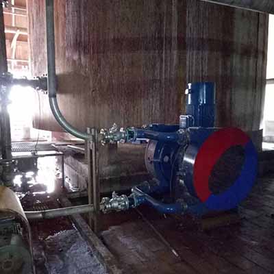High flow peristaltic hose pump High flow peristaltic hose pump