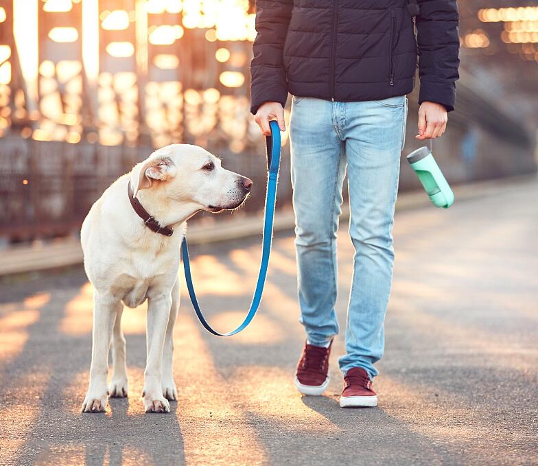 portable dog water bottle