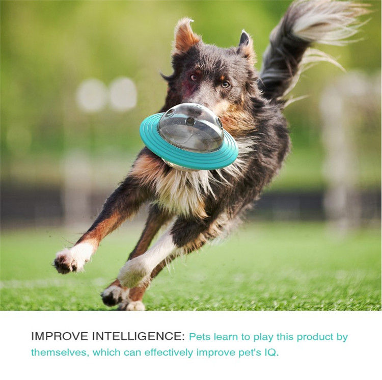 pet plastic products pet plastic products