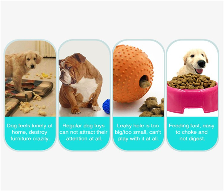 pet plastic products