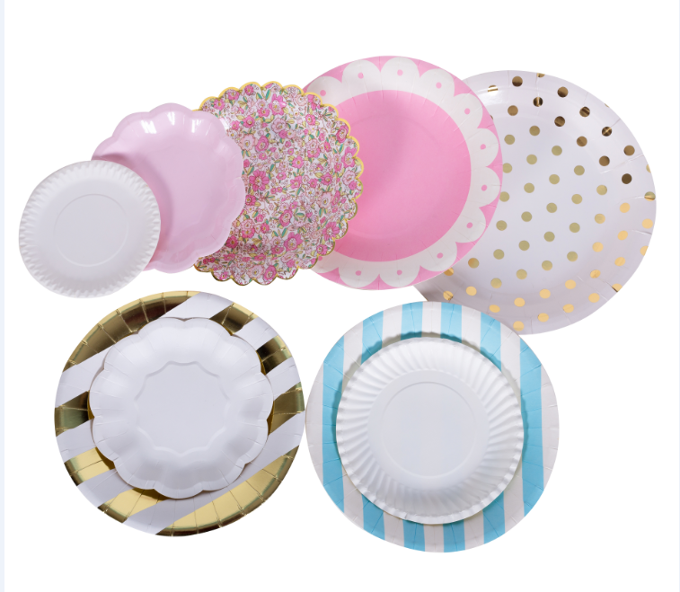 birthday parti paper plate birthday parti paper plate