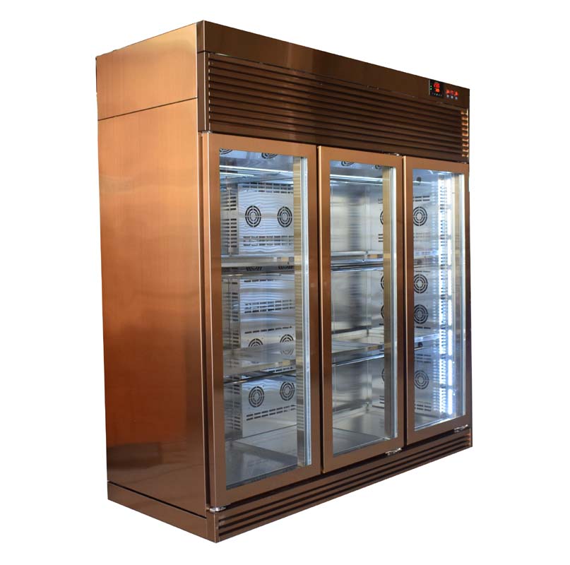 Wind Goose display freezer