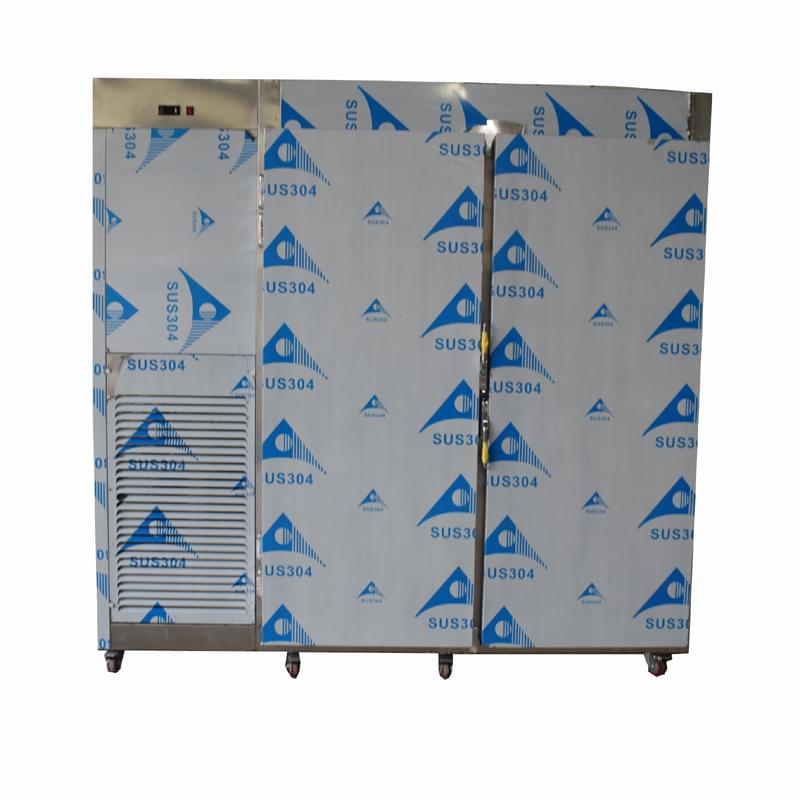 Customized Double Door Upright Freezer Customized Double Door Upright Freezer