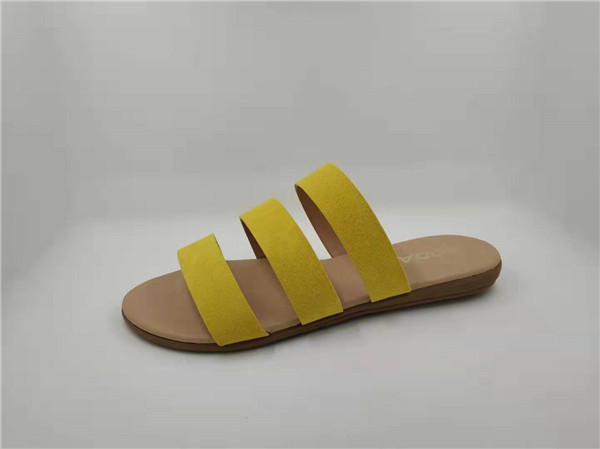 yellow slipper yellow slipper