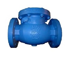 Cast iron swing check valve