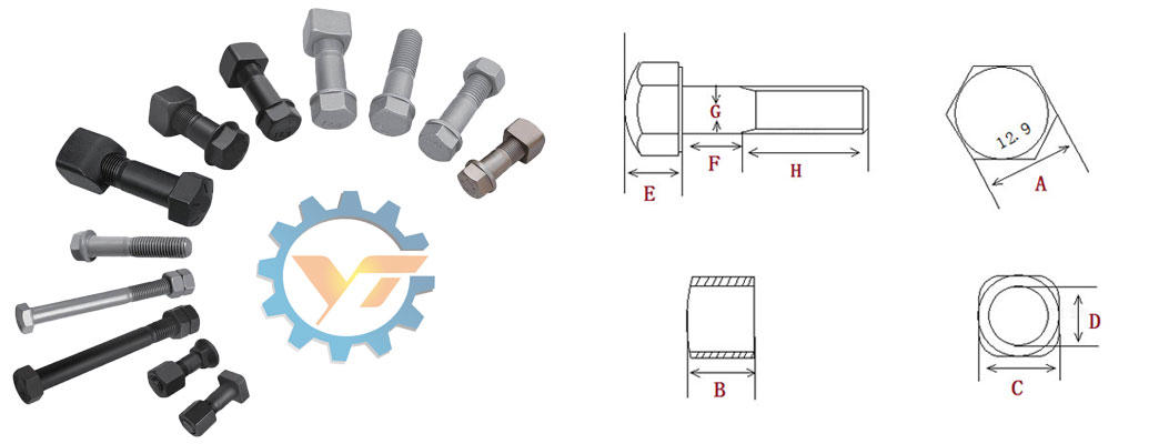 Bolt & Nut Dimension