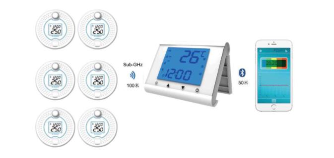 Bluetooth Wireless Float Thermometer Receiver