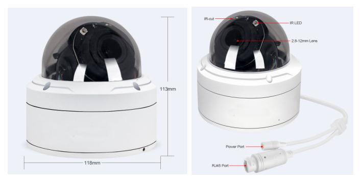 Privacy Mark Dome IP Camera