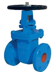 Rising stem gate valve