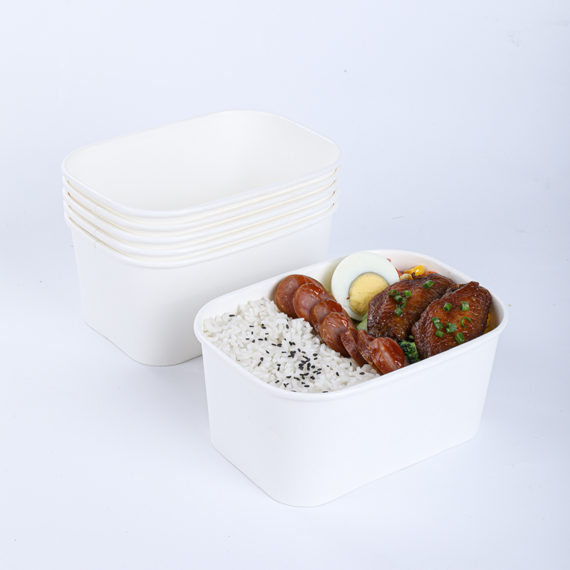 Large portable salad paper bowl