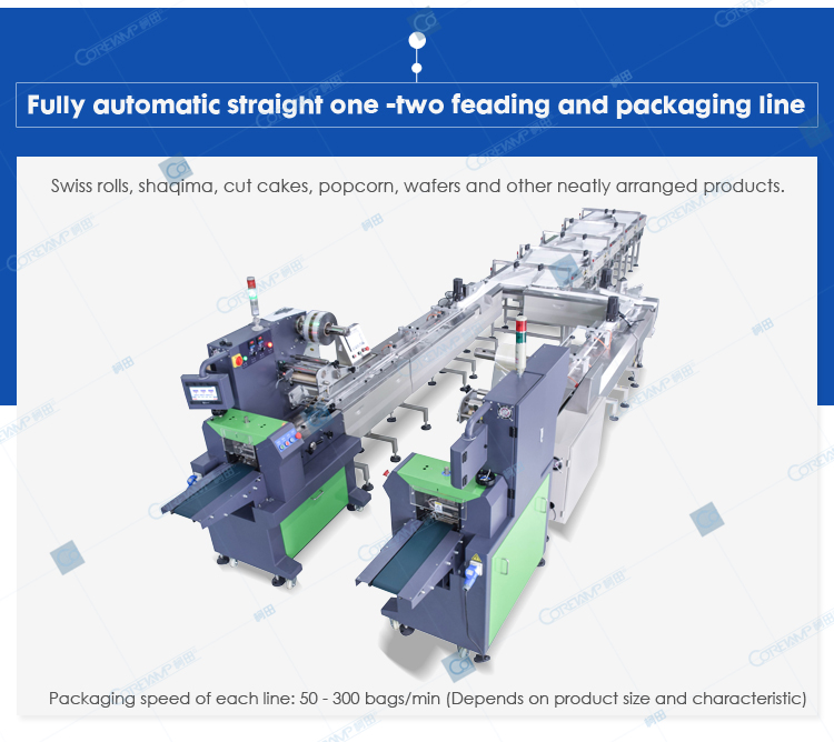 Automatic biscuit packaging machine