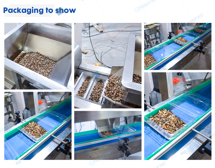 chestnuts packaging machine