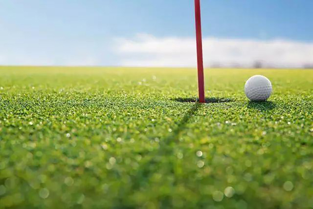 Factory Direct Artificial Grass Turf Factory Direct Artificial Grass Turf