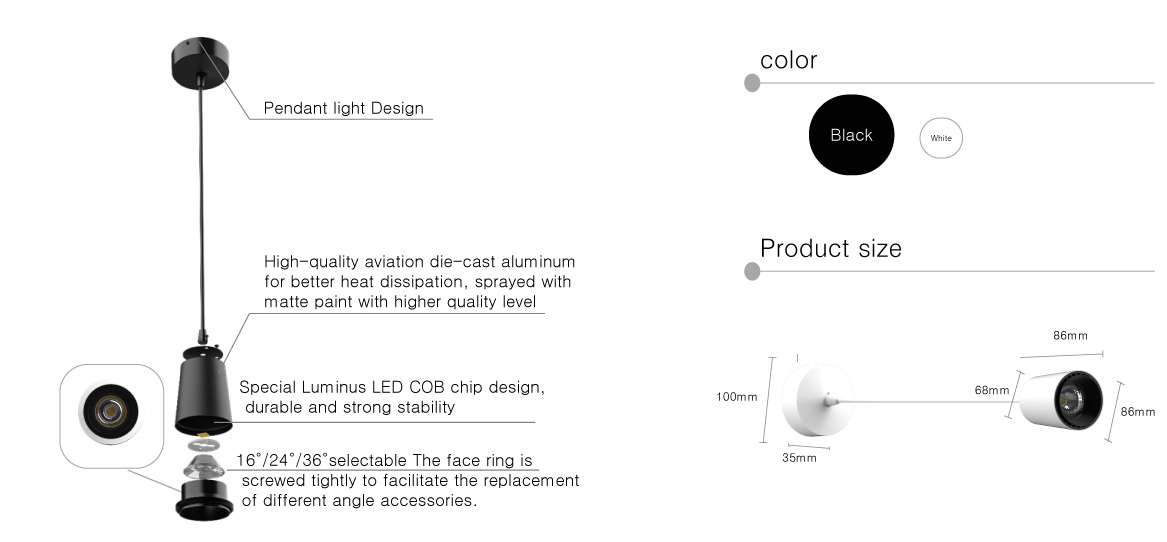 Professional black LED Pendant Light design
