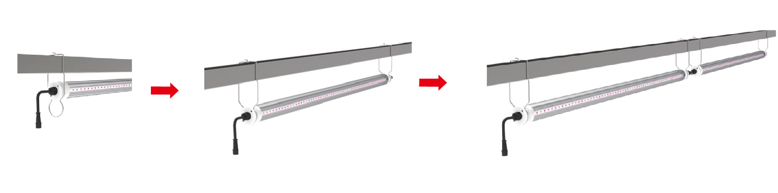 Interlight LED Light fixture for indoor & Greenhouse Solution