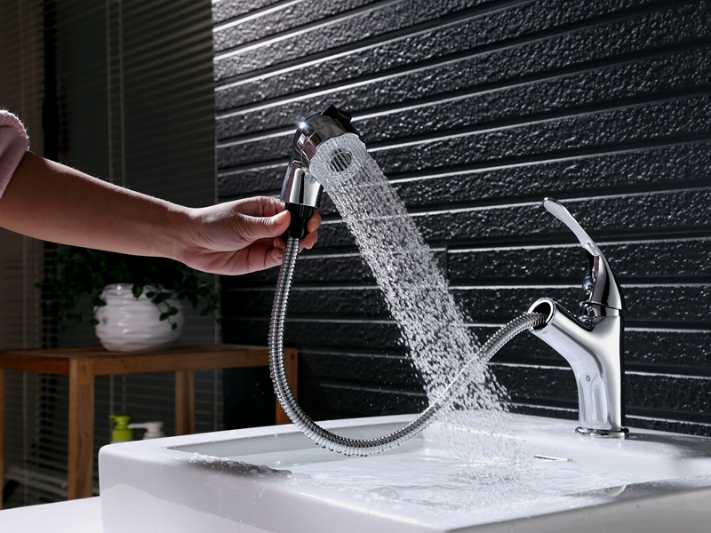 Two Function Pull Out Spray Basin Faucet Two Function Pull Out Spray Basin Faucet