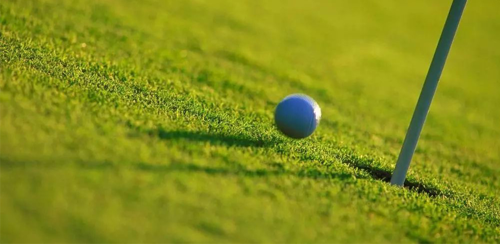 Factory Direct Artificial Grass Turf Factory Direct Artificial Grass Turf