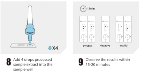 Nasal swab Antigen Test (Colloidal Gold)