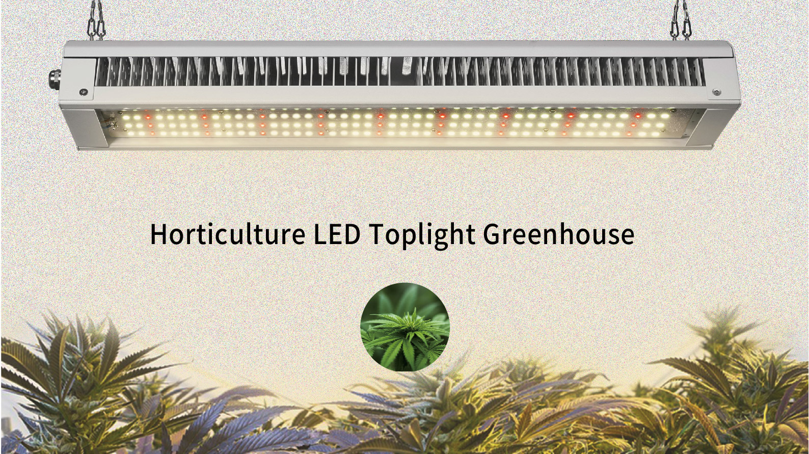 Toplight G4 LED Light fixture for indoor Solution