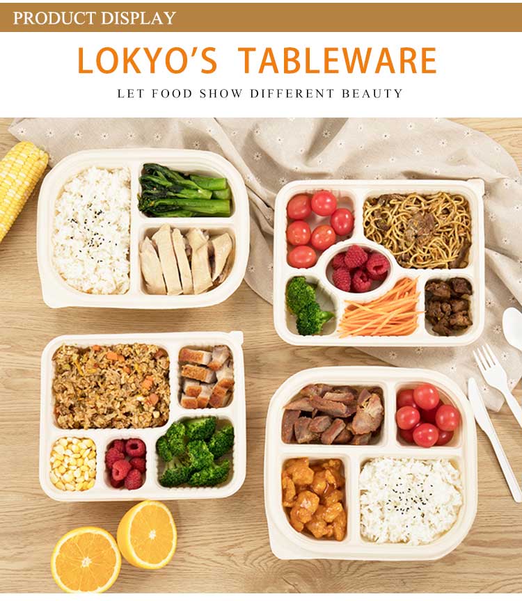 Biodegradable food container Biodegradable food container