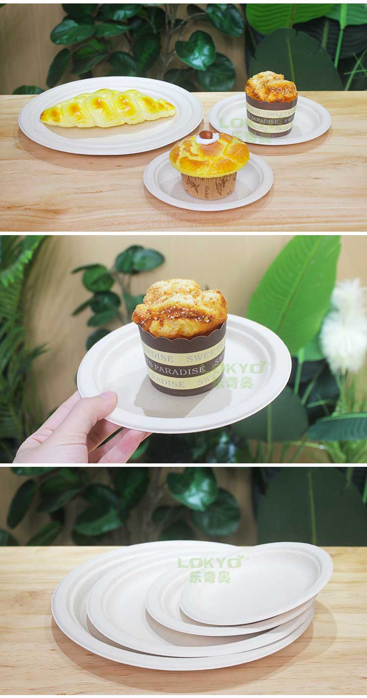 Eco friendly disposable plates Eco friendly disposable plates