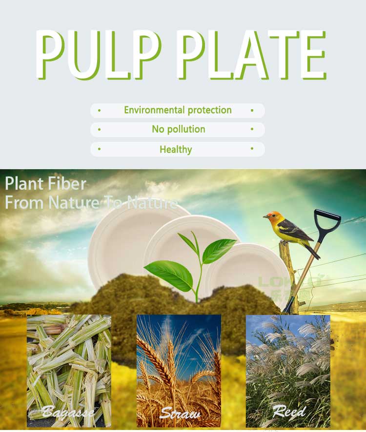 Sugarcane pulp plates