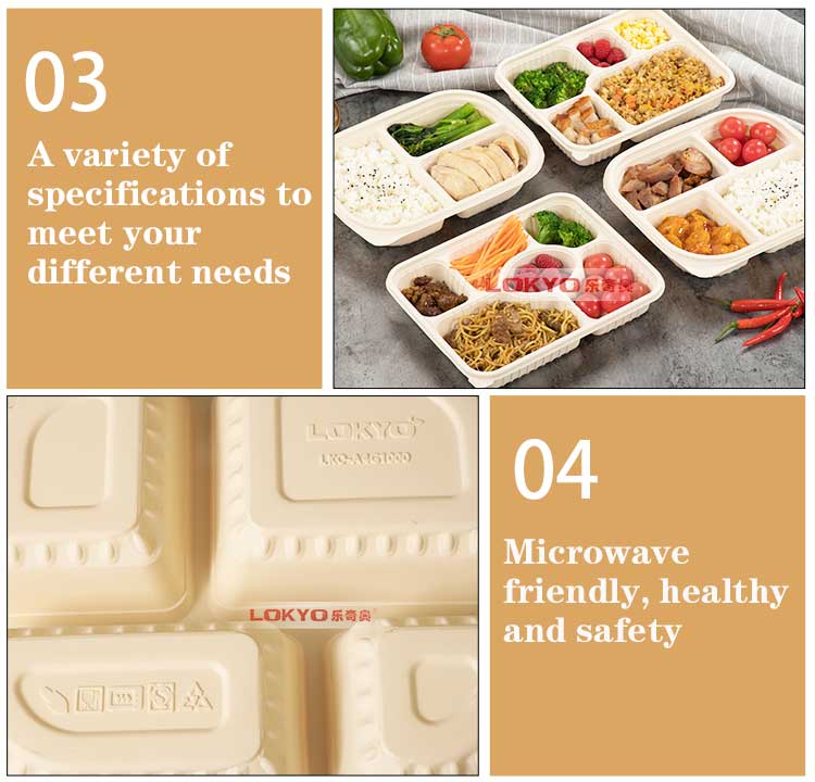 Compartment food containers